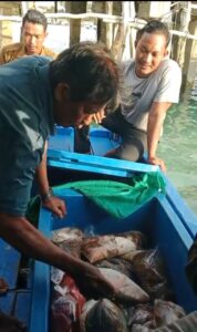 Penuitaan hsil tangkap