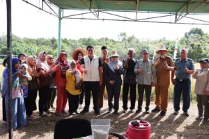 Bupati Bintan Roby Kurniawan, didampingi Sekretaris Daerah Kabupaten Bintan Ronny Kartika, melaksanakan panen perdana padi gogo bersama Kelompok Tani Maju Jaya di Kampung Sei Jeram, Desa Lancang Kuning, Kecamatan Bintan Utara