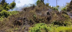 Lahan Warga di RT.001 RW. 001 Desa Mampok di lahap Si Jago merah Rabu, 25/4/2026 siang 