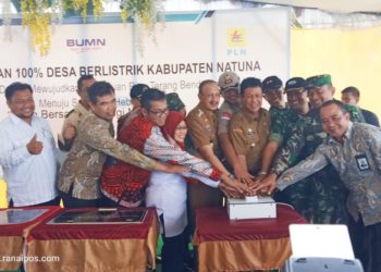 Plt. Gubernur Kepri Resmikan 100% Desa Berlistrik