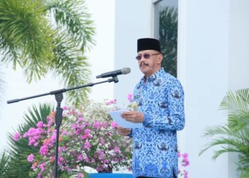 Bupati Natuna Pimpin Upacara Hari Perhubungan Nasional 2019
