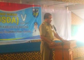 Asisten III Pemkab Natuna, Buka Musda V KNPI Natuna