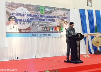 Andes Putra, Ketua DPRD Natuna Sampaikan Pokir Di Musrenbang 2020