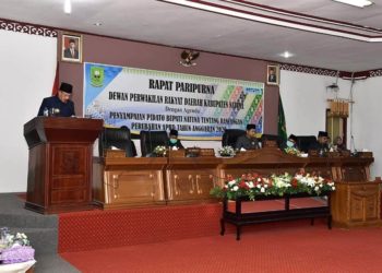 Bupati Natuna Sampaikan Pidato Rancangan Perubahan APBD Tahun Anggaran 2020
