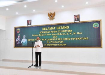 Bupati Natuna Hadiri Penyambutan Kodim 0318 Natuna