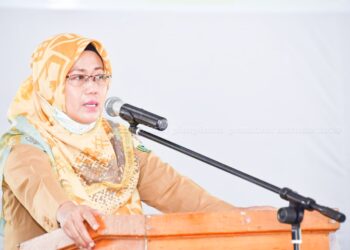 Ngesti Buka Workshop Operator Dapodikpaud dan Operator Dapodikdas 2020.