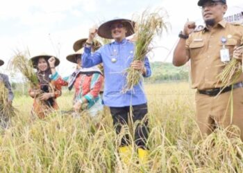 Bupati Hamid Rizal. M.Si ; Natuna Siap Wujudkan Swasembada Pangan