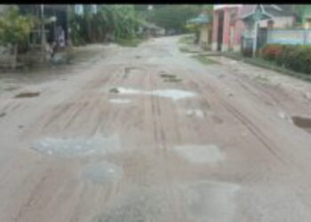 Perbaikan dan Pemeliharaan Jalan Desa Limau Manis, Dinas PUPR Natuna Alokasikan Rp. 3 Miliar 