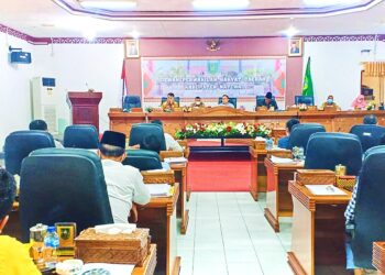 Raker Bupati Bersama DPRD Natuna, Wan Siswandi Usulkan Tiga Usulan Prioritas Pembangunan