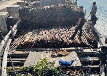 BC Batam Gagalkan Penyelundupan 10.810 Batang Kayu Teki Di Perairan Pulau Jaloh Atas