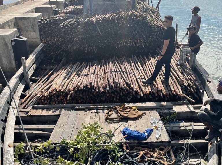 BC Batam Gagalkan Penyelundupan 10.810 Batang Kayu Teki Di Perairan Pulau Jaloh Atas