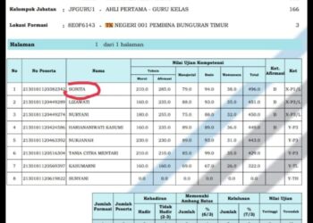 Kelulusan Sonita, Diduga Ada Pemalsuan Data Dapodik Ikut Seleksi Nasional Pengadaan CASN 2021.