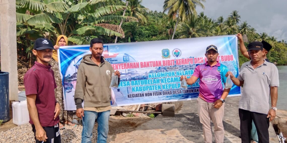 Desa Batu Belah Serahkan Bantuan 1000 Ekor Bibit Kerapu dan Kawan Bubu Ke Usaha Kelompok Nelayan