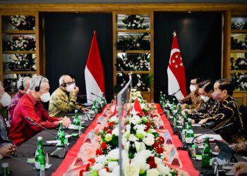 55 Tahun Hubungan Diplomatik, Indonesia – Singapura Perkuat Kerja Sama Bilateral