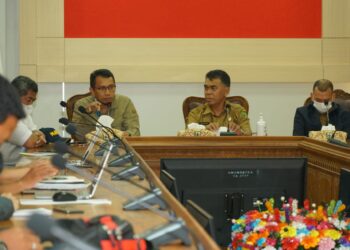 Kunjungi Pemkab Natuna, Pemda Adakan Audensi Bersama Asisten Deputi Menko Marves 