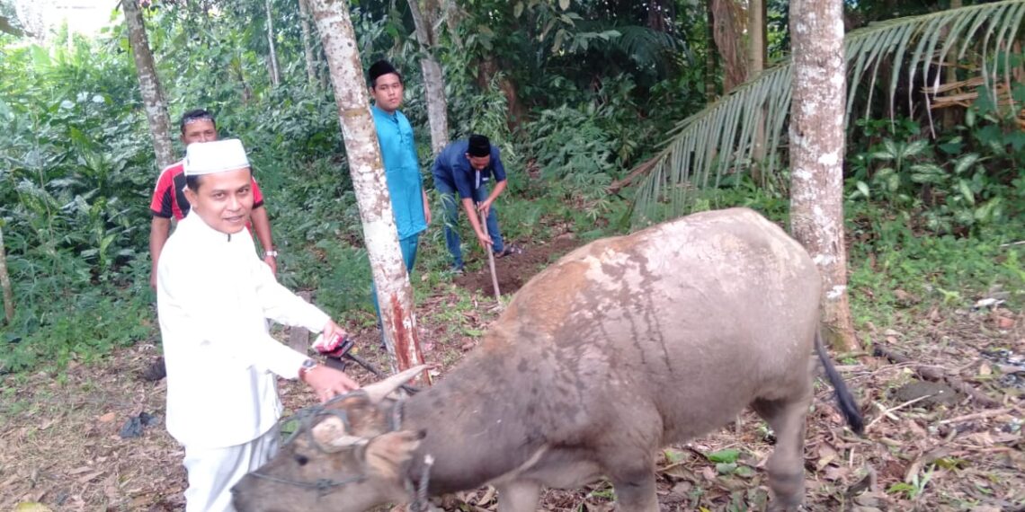Ketua GMPK Kepri Serahkan Hewan Kurban Kepada Masyarakat Kurang Mampu