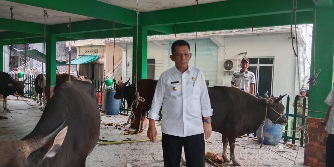 Masyarakat Anambas Dapat Sapi Kurban dari Presiden RI Joko Widodo