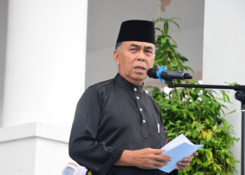 Bupati Wan Siswandi Pimpin Upacara HUT Dishub ke 77 dan HUT Kepri ke 20 Dalam Rintikan Hujan