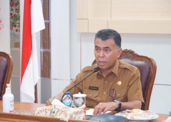 Bupati Natuna Wan Siswandi ; Penekanan Stunting, Peran Pemerintah Harus Lebih Bersinergi