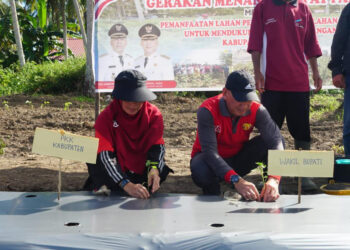 Wakil Bupati Natuna Hadiri Acara Pencanangan Gerakan Menanam Cepat Panen