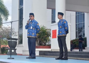 Bagi ASN Yang Molor LHKPN 2022, Akan Di Tunda TPP_nya