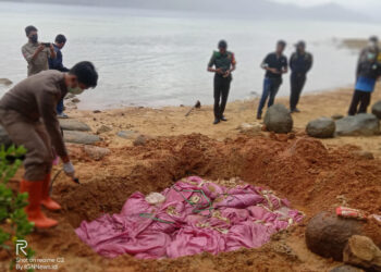 Daging Busuk Satu Container Yang Terdampar Dimusnahkan Pemerintah Anambas