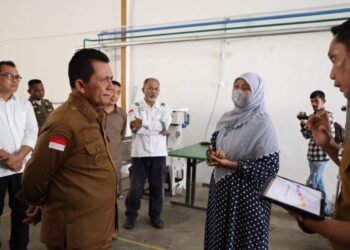 Gubernur Kepri Tinjau Pusat Sterilisasi Produk Makanan di Batam Center