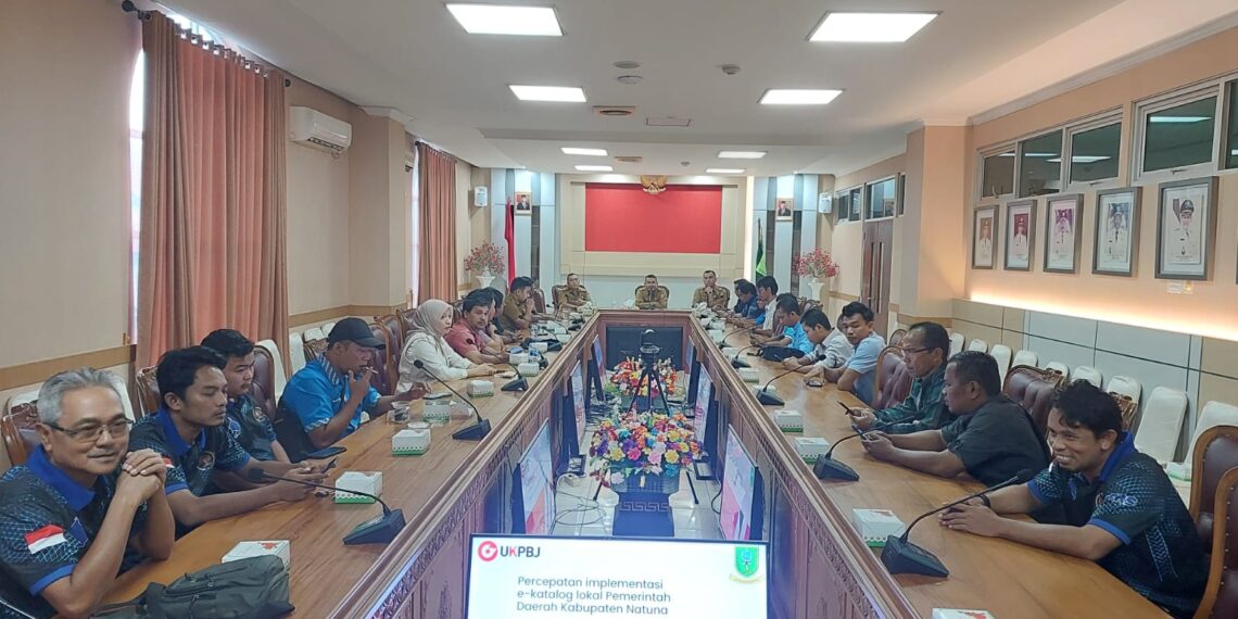 Diskominfo Gandeng UKPBJ Sosialisasi E-katalog Bagi Media di Natuna