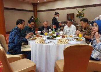 Temui Menkes, Bupati Natuna Wan Siswandi Usulkan Beasiswa Dokter Spesialis