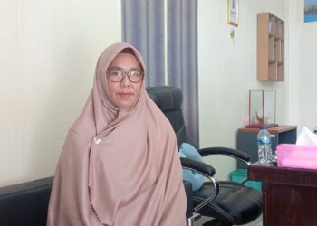 277 Guru P3K dan Nakes di Usulkan Penetapan NIP Baru 10% Diterima BKPSDM Anambas