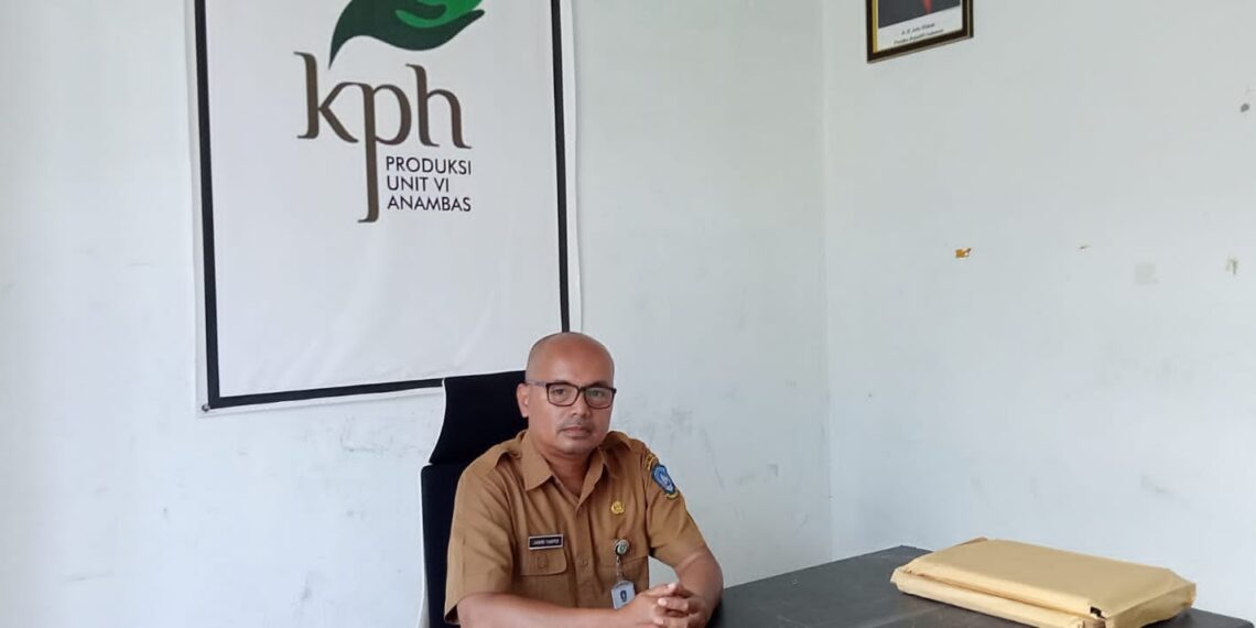 Bingung Hadapi Penebang Lokal, Jeari Yanto : Penebang Harus Kantongi IPH