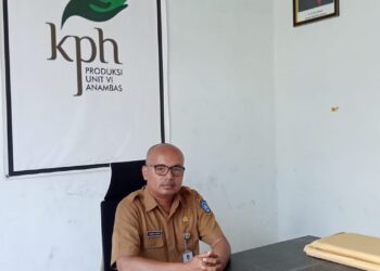 Bingung Hadapi Penebang Lokal, Jeari Yanto : Penebang Harus Kantongi IPH