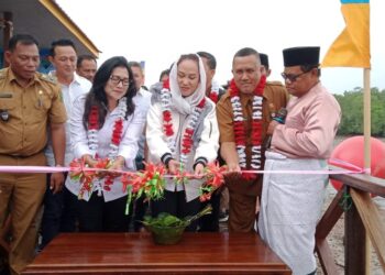 Anggota DPR RI Cen Sui Lan Resmikan Objek Wisata Mangrove Sebala Desa Batu Gajah