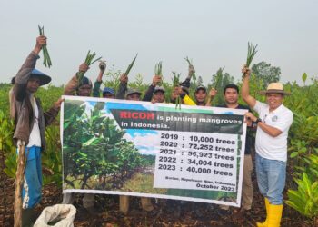 Sempena HPN 2024, PWI Kepri dan Pecinta Mangrove Jepang Giat Tanam Bakau di Bintan