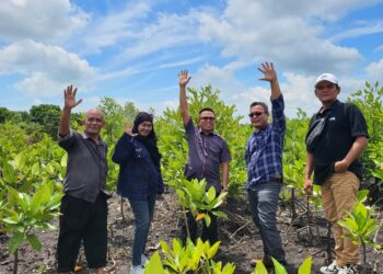 Sempena HPN 2024, PWI Kepri Siapkan Penanaman 50 Ribu Bibit Mangrove