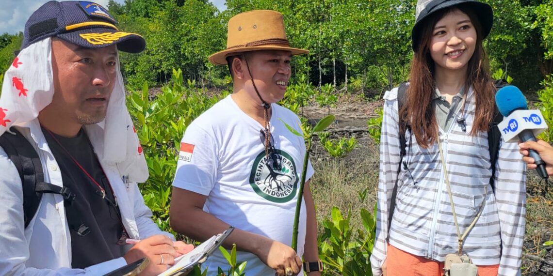 Perusahaan Ricoh Jepang Dukung Aksi PWI Kepri Tanam Mangrove di Pulau Bintan