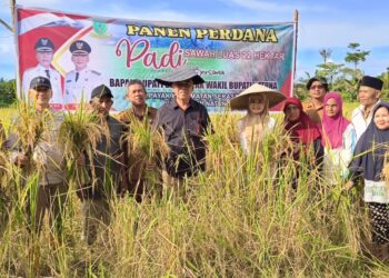 Panen Padi Perdana Desa Payak, Bupati Natuna Wan Siswandi : Semoga Dapat Berkontribusi Pangan di Serasan