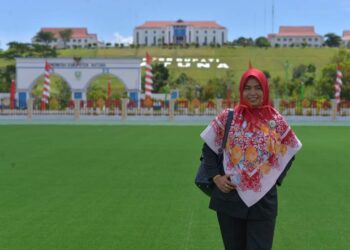 Memaksimalkan Fungsi Komunikator Organisasi Pemerintah di Era Post-Modern