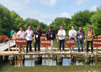 Menteri LHK Apresiasi Kegiatan Penanaman Mangrove PWI Kepri