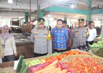 Kapolres Karimun Laksanakan Pengecekan Harga dan Stok Pangan di Pasar Tradisional