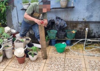 Sidang Kasus Pengrusakan 12 Tiang Batas Patok Milik Djodi Wirahadikusuma Terus Digelar, Dua Tersangka di Ancam 5 Tahun Penjara