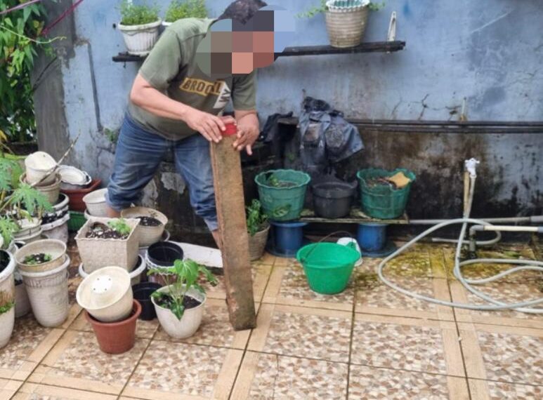 Sidang Kasus Pengrusakan 12 Tiang Batas Patok Milik Djodi Wirahadikusuma Terus Digelar, Dua Tersangka di Ancam 5 Tahun Penjara