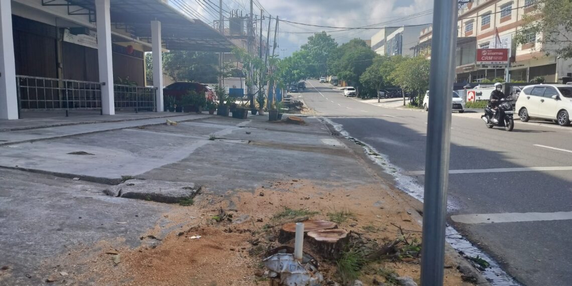 Pengusaha D Akali Dinas Perkim untuk Tebang Pohon di Tanjungpinang Demi Perluas Usaha Cafe