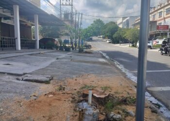 Pengusaha D Akali Dinas Perkim untuk Tebang Pohon di Tanjungpinang Demi Perluas Usaha Cafe