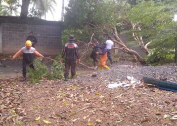 Cuaca Ekstrem di Tanjungpinang: Angin Kencang dan Hujan Deras Hancurkan Tenda UMKM dan Tumbangkan Pohon