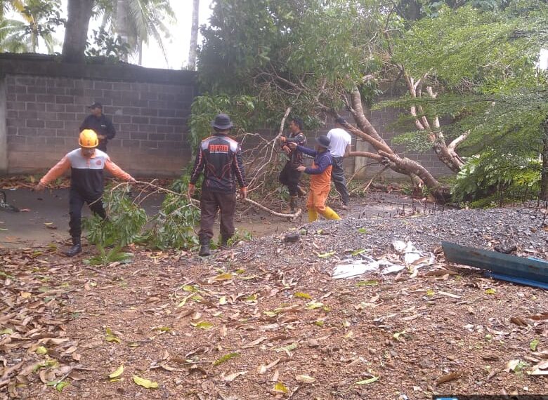 Cuaca Ekstrem di Tanjungpinang: Angin Kencang dan Hujan Deras Hancurkan Tenda UMKM dan Tumbangkan Pohon