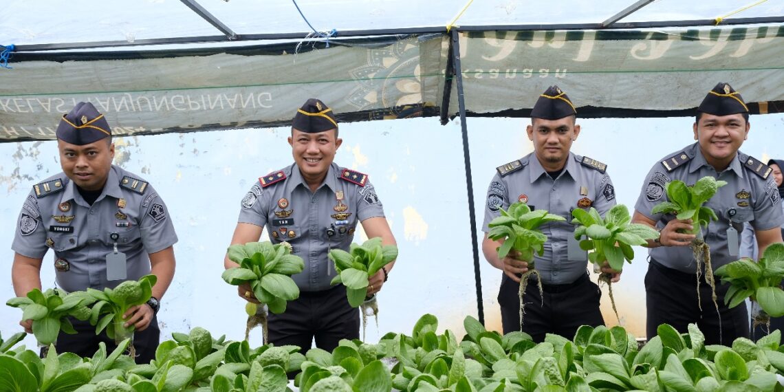 Rutan Kelas I Tanjungpinang Panen 90 Kilogram Pakcoy Hidroponik