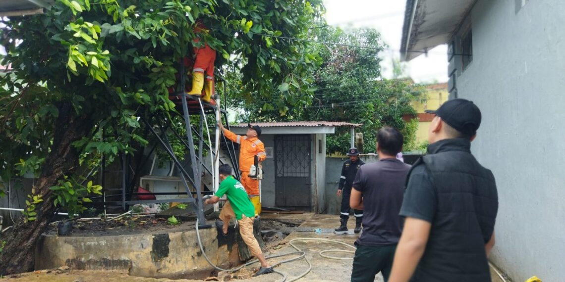 Rutan Tanjungpinang dan BPBD Evakuasi Pohon Tumbang Akibat Cuaca Ekstrem