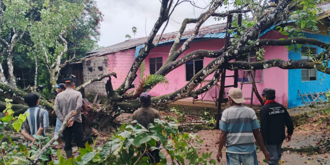 Pohon Rambutan Tumbang Timpa Rumah Warga di Bintan Timur, Tidak Ada Korban Jiwa 