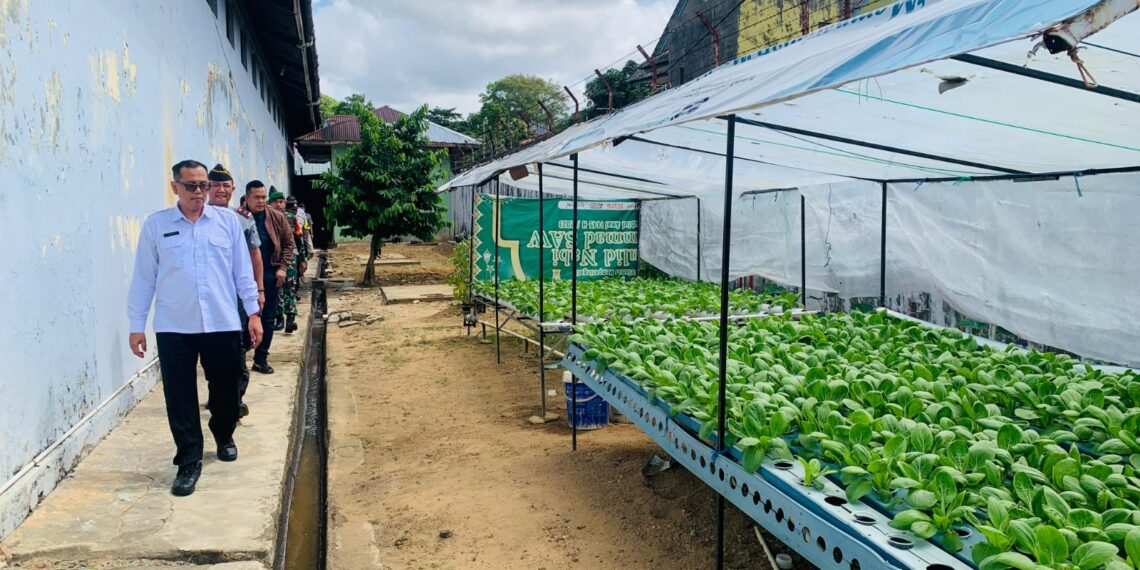 Rutan Kelas I Tanjungpinang Panen 150 Kg Kangkung, Wujudkan Ketahanan Pangan Warga Binaan